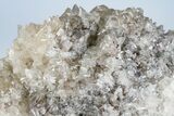 Scalenohedral Calcite Crystal Cluster - Cocineras Mine, Mexico #183725-2
